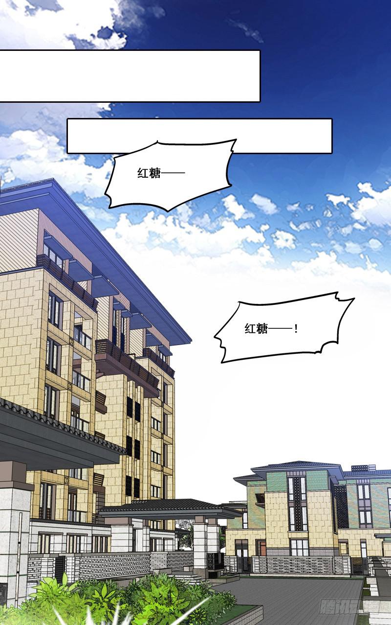 《宠爱我吧！兽医先生》第一回 新上任的陆经理 第24页