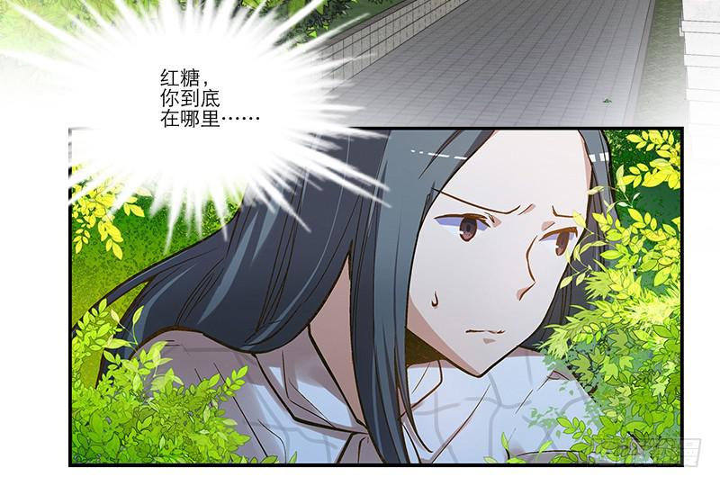 《宠爱我吧！兽医先生》第一回 新上任的陆经理 第25页