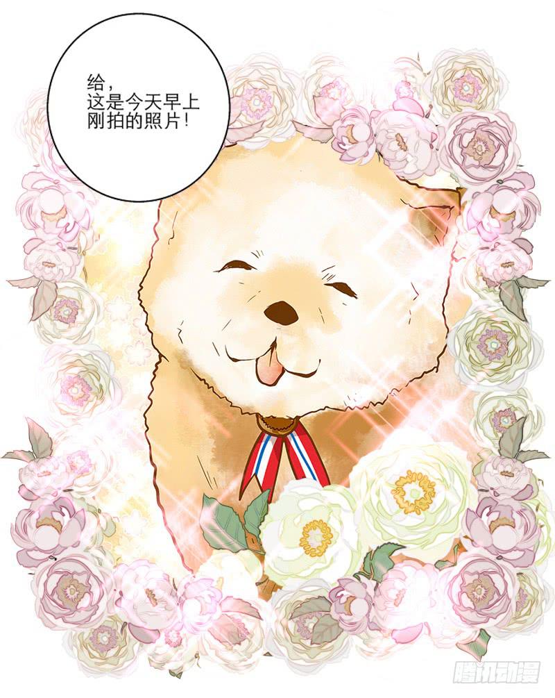 《宠爱我吧！兽医先生》第一回 新上任的陆经理 第31页