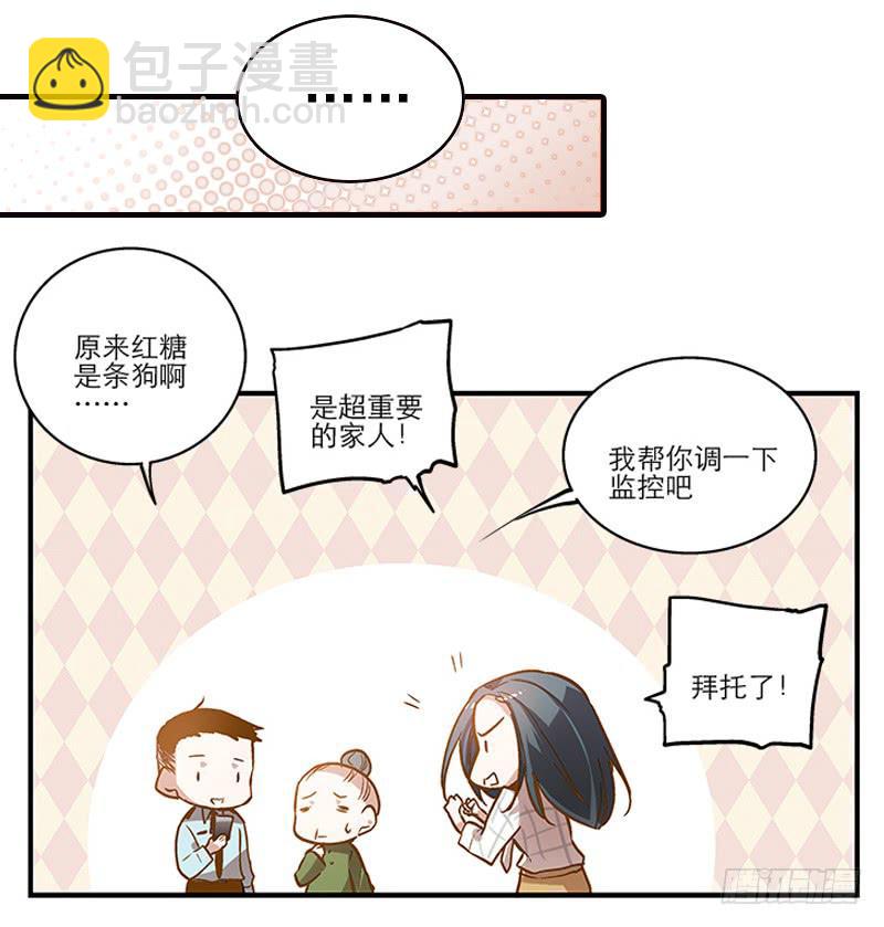 《宠爱我吧！兽医先生》第一回 新上任的陆经理 第32页