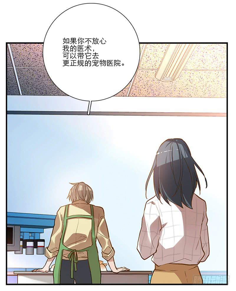 《宠爱我吧！兽医先生》第四回 我的兽医先生 第11页