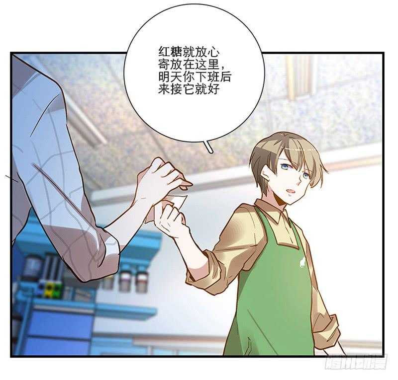 《宠爱我吧！兽医先生》第四回 我的兽医先生 第18页
