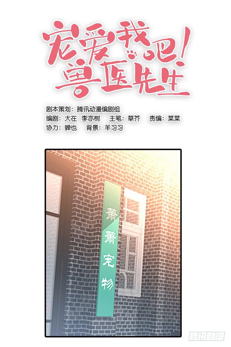 《宠爱我吧！兽医先生》第四回 我的兽医先生 第1页