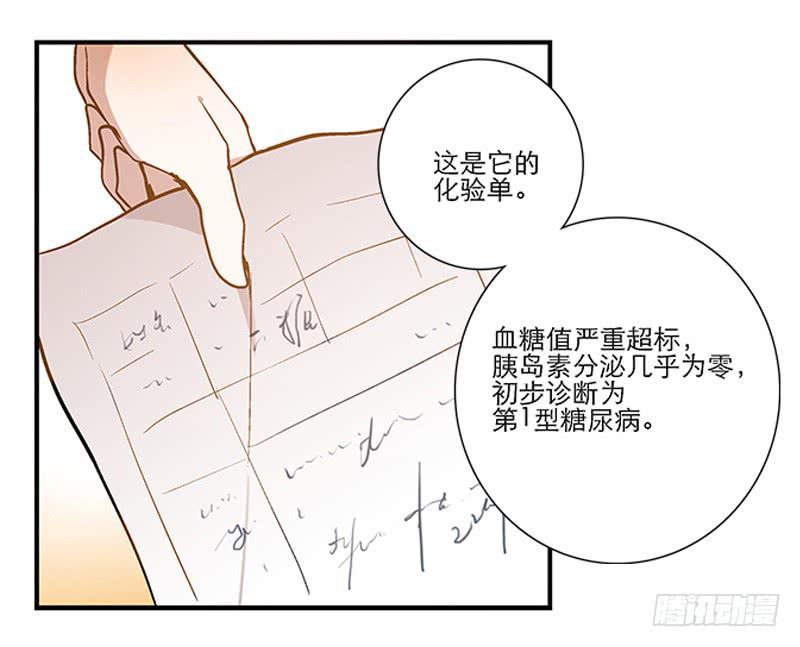 《宠爱我吧！兽医先生》第四回 我的兽医先生 第4页