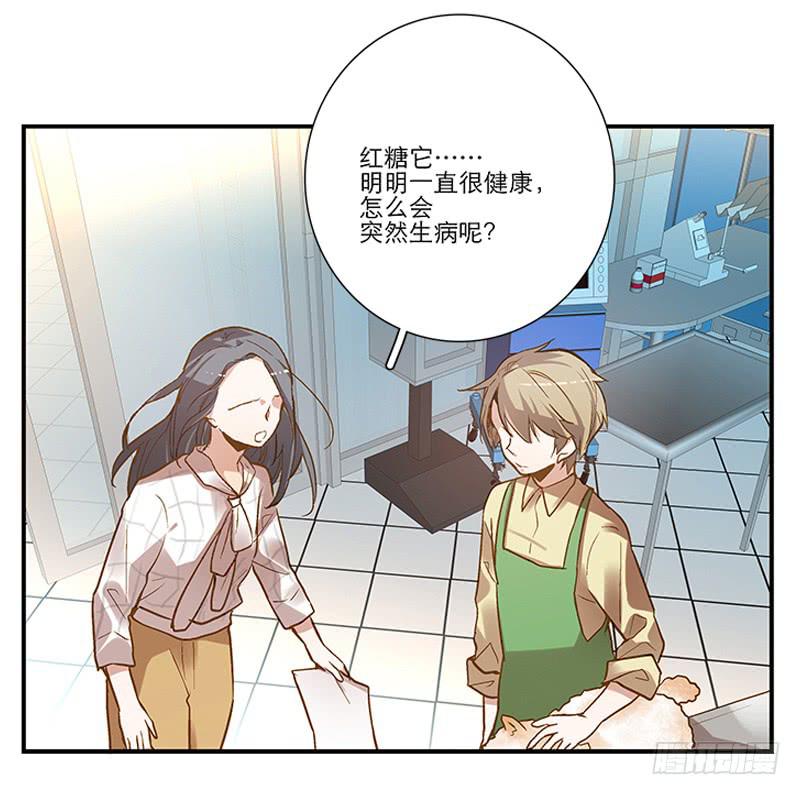 《宠爱我吧！兽医先生》第四回 我的兽医先生 第6页