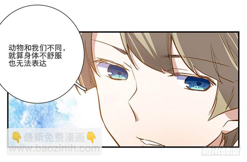 《宠爱我吧！兽医先生》第四回 我的兽医先生 第7页