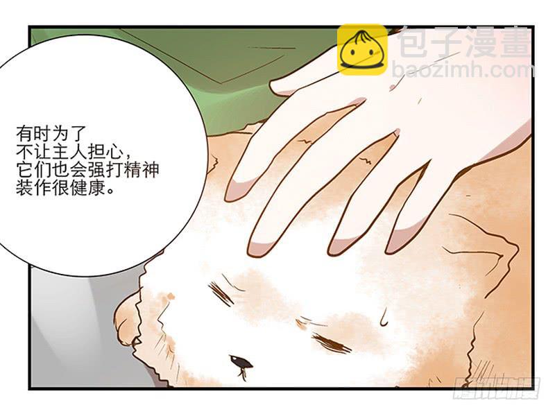 《宠爱我吧！兽医先生》第四回 我的兽医先生 第8页