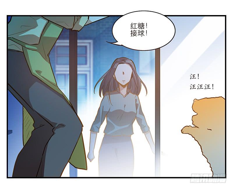 《宠爱我吧！兽医先生》第五回 红糖的遛狗员（上 第35页