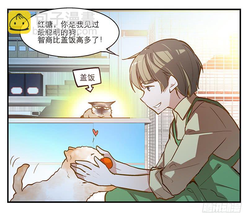 《宠爱我吧！兽医先生》第五回 红糖的遛狗员（上 第36页