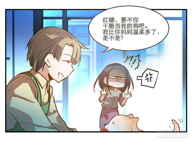 《宠爱我吧！兽医先生》第五回 红糖的遛狗员（上 第38页