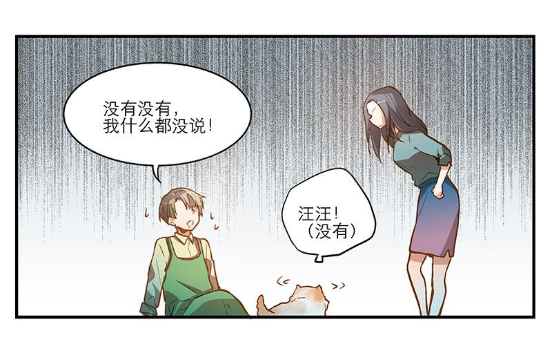 《宠爱我吧！兽医先生》第五回 红糖的遛狗员（上 第41页