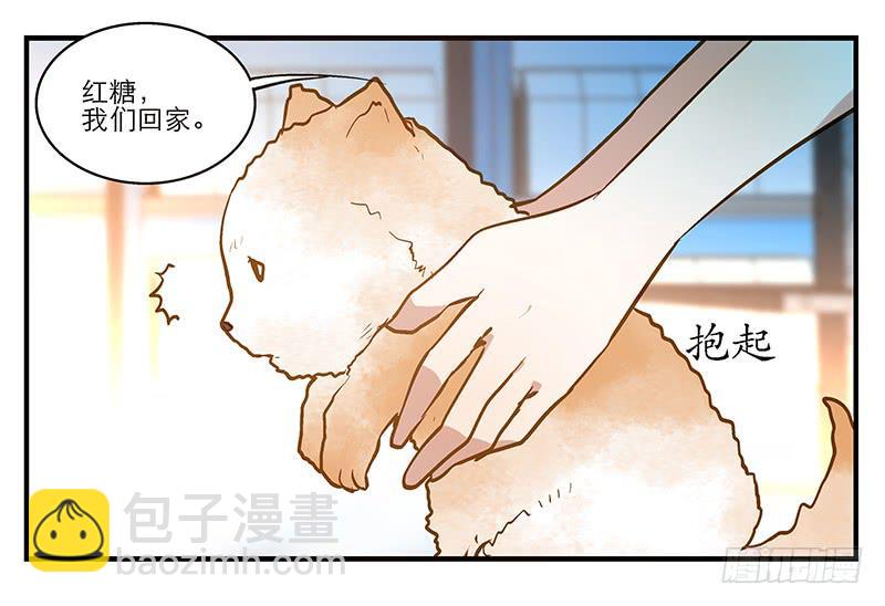 《宠爱我吧！兽医先生》第五回 红糖的遛狗员（上 第42页