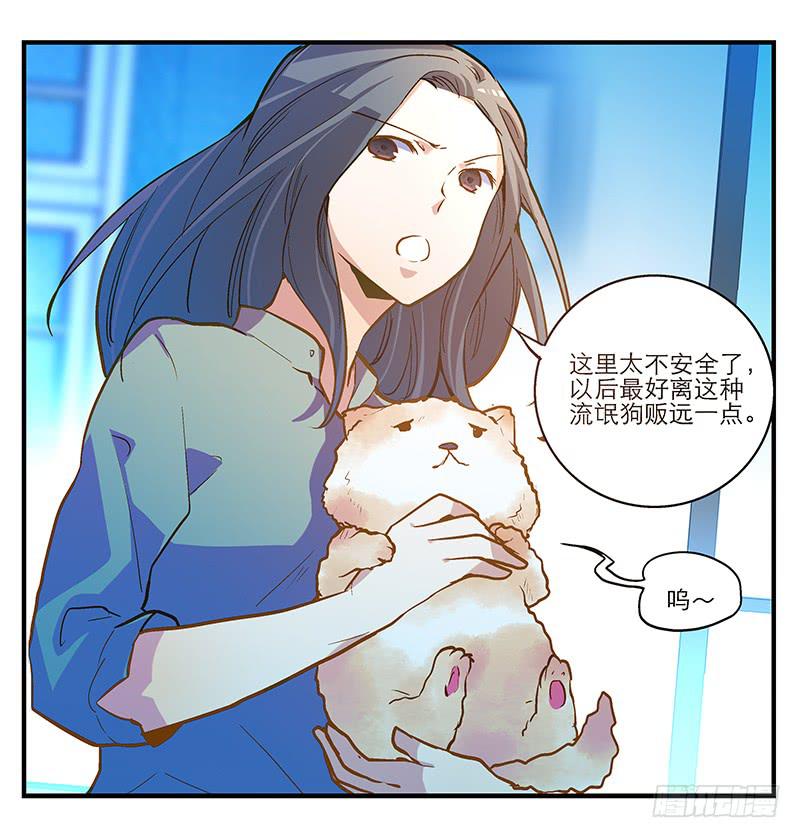 《宠爱我吧！兽医先生》第五回 红糖的遛狗员（上 第43页