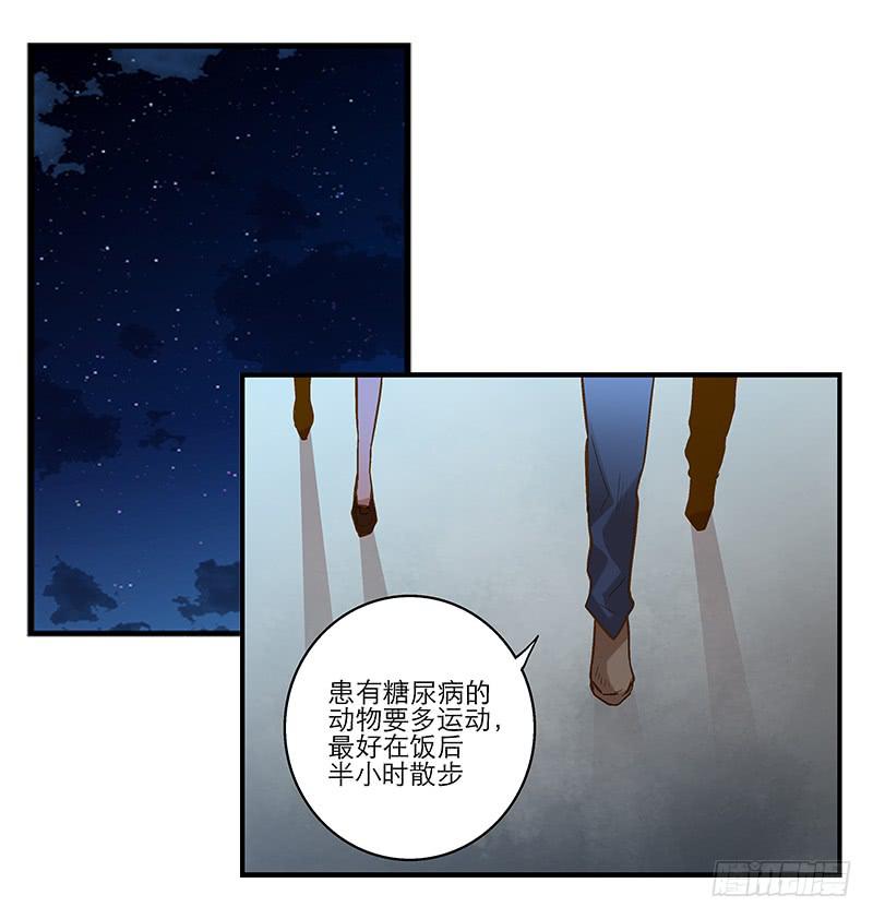 《宠爱我吧！兽医先生》第六回 红糖的遛狗员（下 第10页