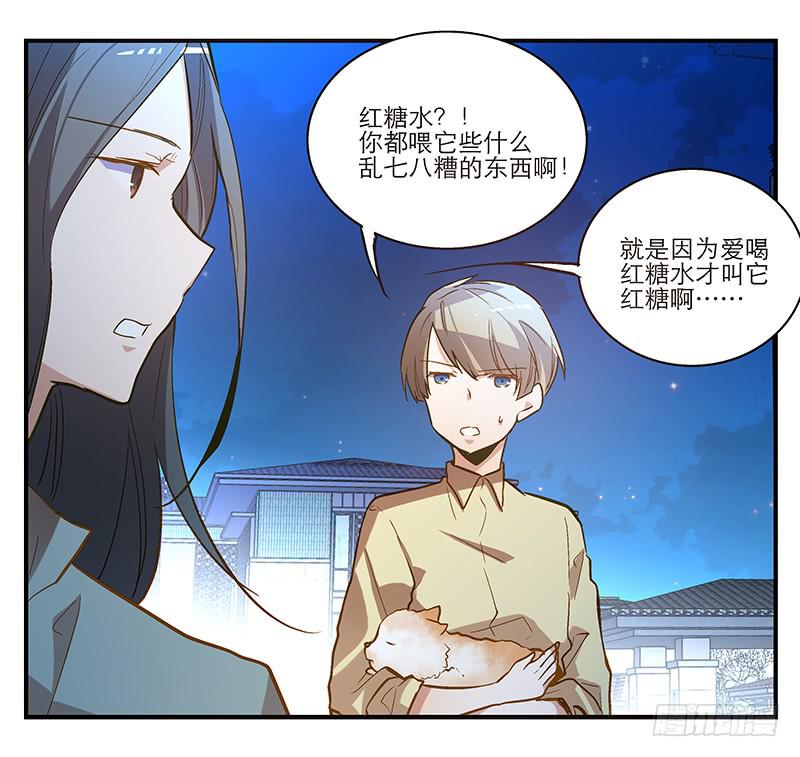 《宠爱我吧！兽医先生》第六回 红糖的遛狗员（下 第14页