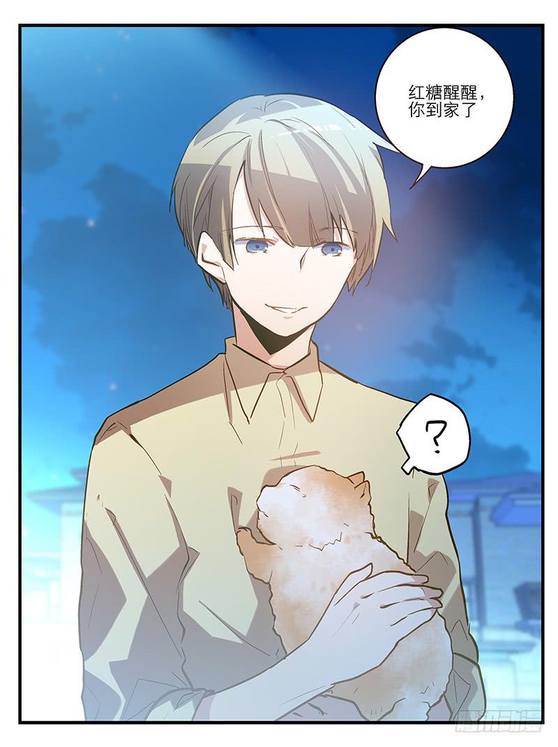 《宠爱我吧！兽医先生》第六回 红糖的遛狗员（下 第16页