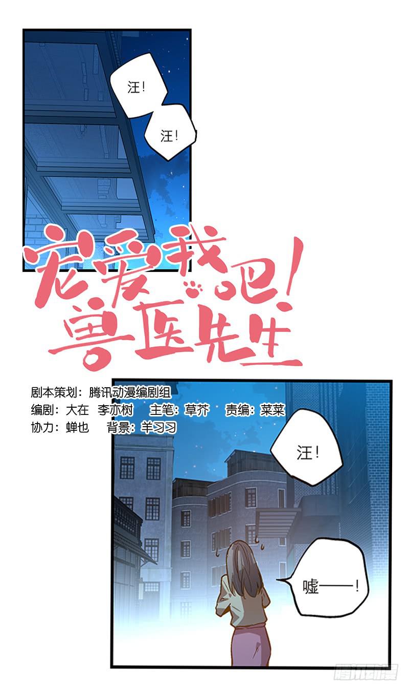《宠爱我吧！兽医先生》第六回 红糖的遛狗员（下 第1页