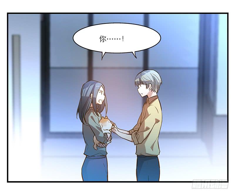 《宠爱我吧！兽医先生》第六回 红糖的遛狗员（下 第20页