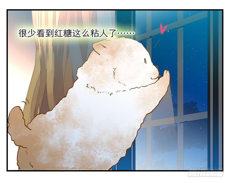 《宠爱我吧！兽医先生》第六回 红糖的遛狗员（下 第28页
