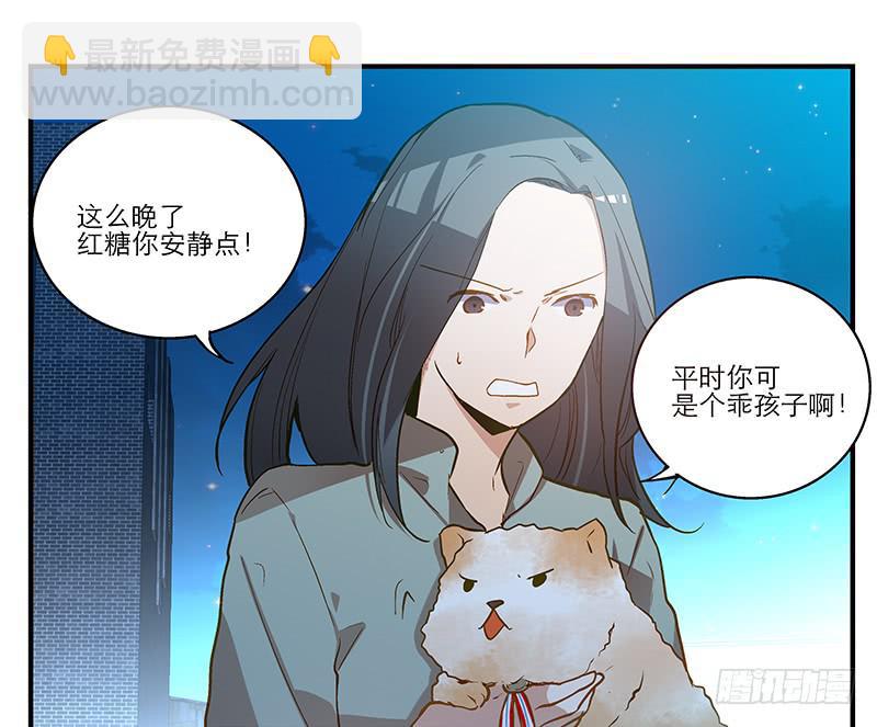 《宠爱我吧！兽医先生》第六回 红糖的遛狗员（下 第2页