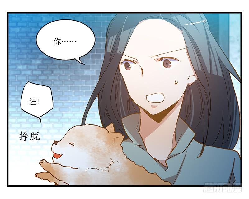 《宠爱我吧！兽医先生》第六回 红糖的遛狗员（下 第6页