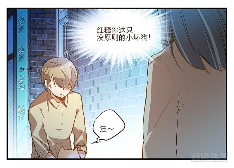 《宠爱我吧！兽医先生》第六回 红糖的遛狗员（下 第7页
