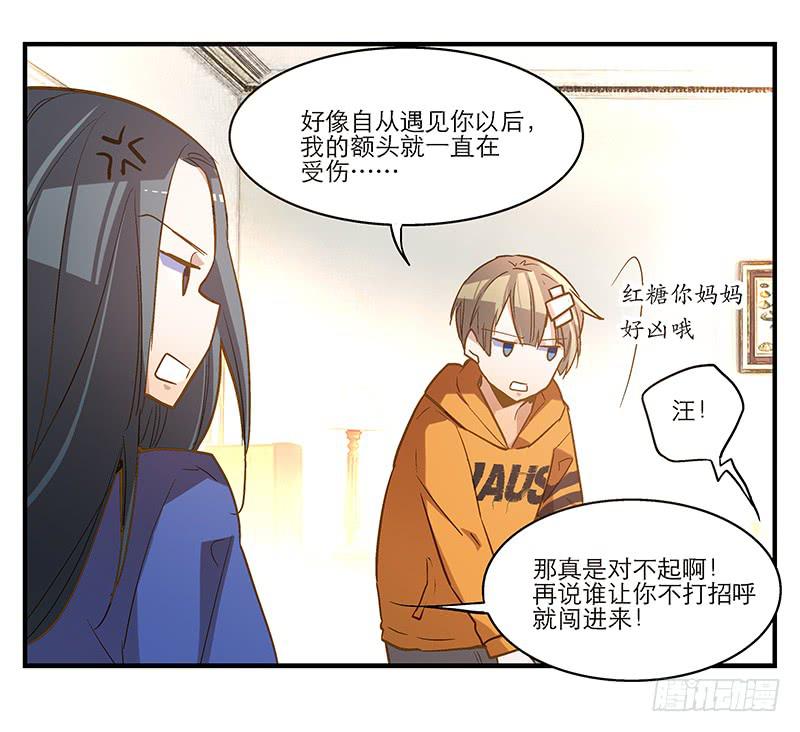 《宠爱我吧！兽医先生》第七回 尴尬的插曲 第11页