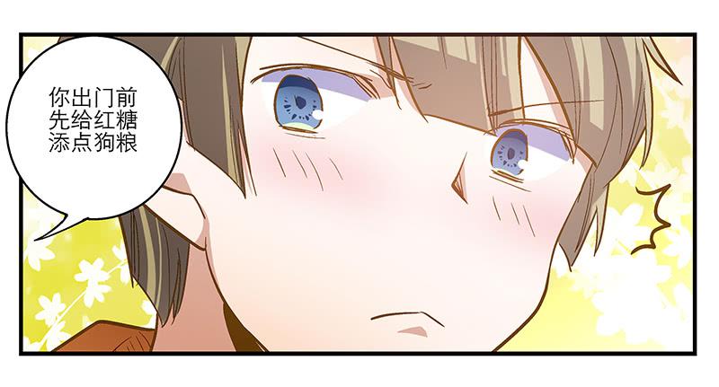 《宠爱我吧！兽医先生》第七回 尴尬的插曲 第14页