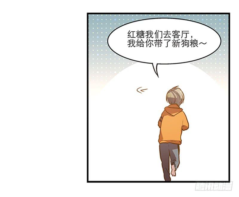 《宠爱我吧！兽医先生》第七回 尴尬的插曲 第21页