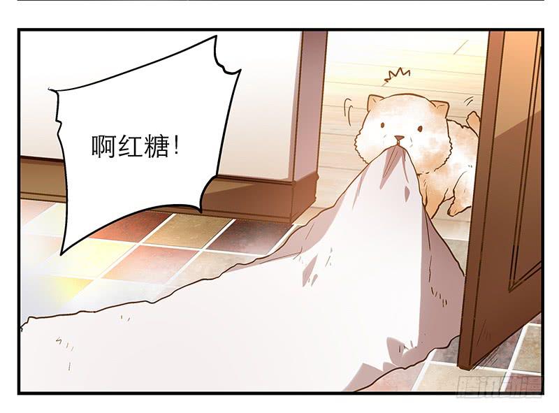 《宠爱我吧！兽医先生》第七回 尴尬的插曲 第24页