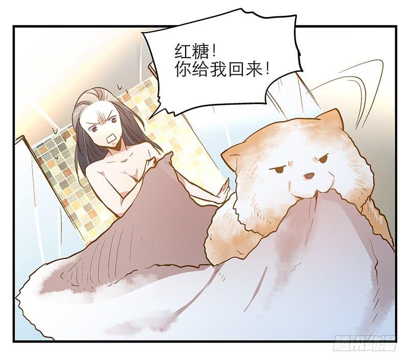 《宠爱我吧！兽医先生》第七回 尴尬的插曲 第25页
