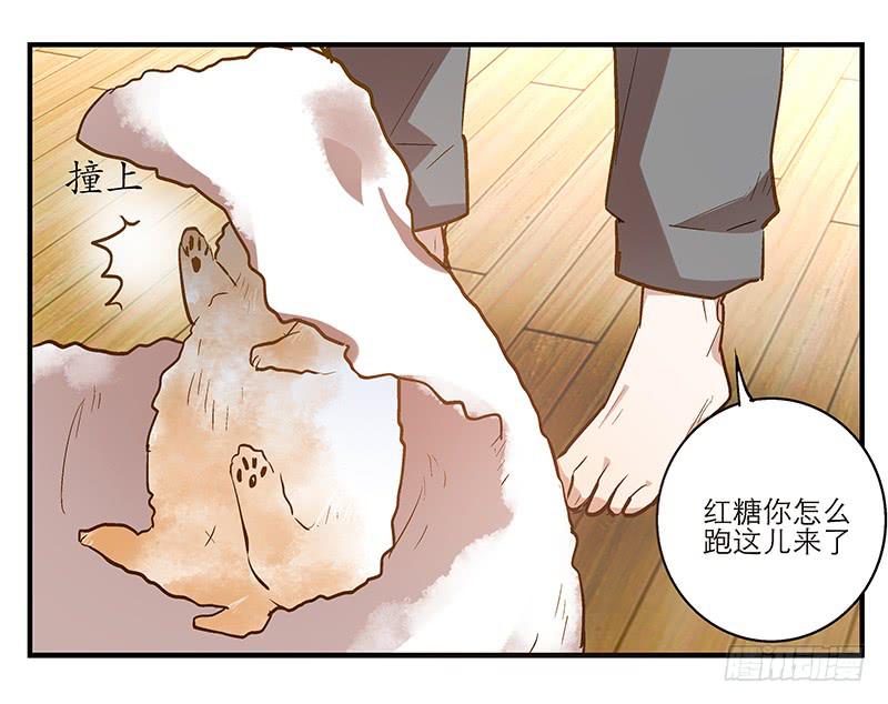 《宠爱我吧！兽医先生》第七回 尴尬的插曲 第28页