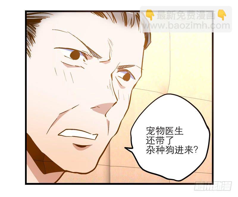 《宠爱我吧！兽医先生》第十回 不许干涉我的生活！ 第10页