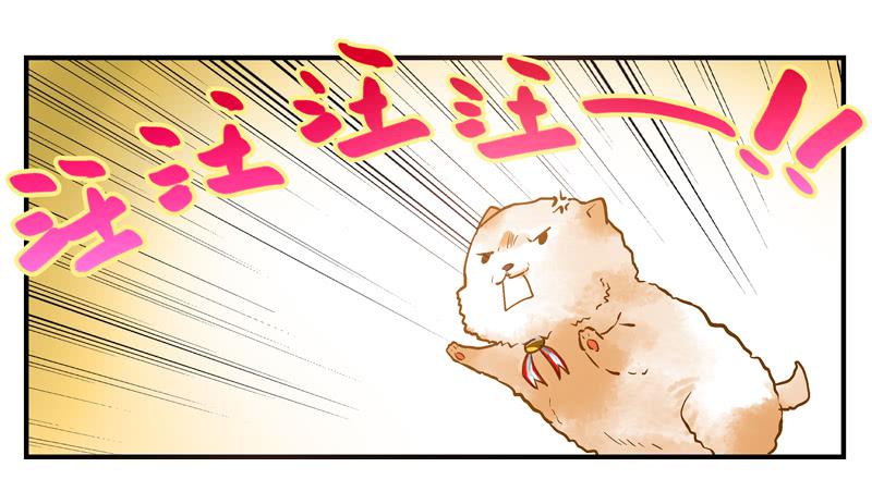 《宠爱我吧！兽医先生》第十回 不许干涉我的生活！ 第12页