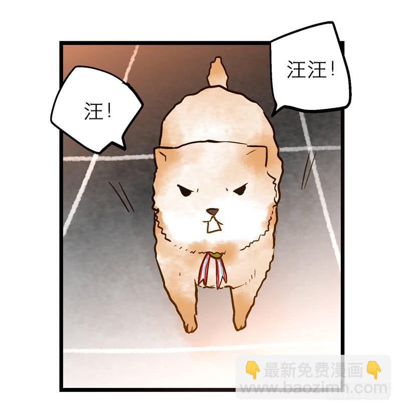 《宠爱我吧！兽医先生》第十回 不许干涉我的生活！ 第8页