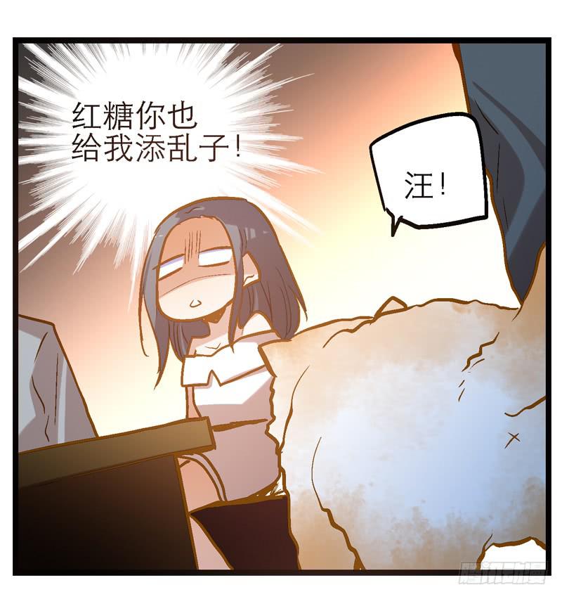 《宠爱我吧！兽医先生》第十回 不许干涉我的生活！ 第9页