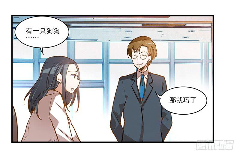 《宠爱我吧！兽医先生》第十三话 神秘合作方 第13页