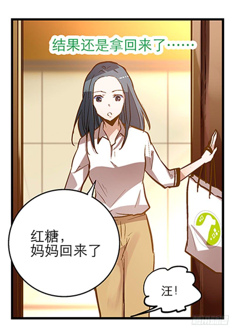 《宠爱我吧！兽医先生》第十三话 神秘合作方 第17页