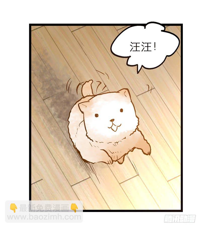 《宠爱我吧！兽医先生》第十三话 神秘合作方 第18页