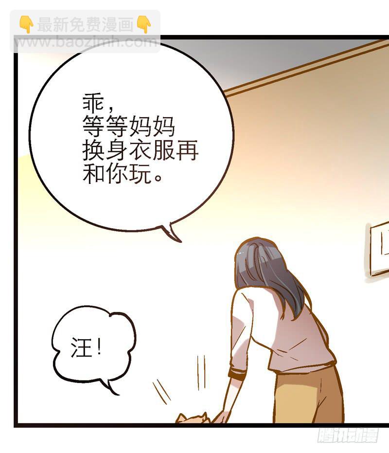 《宠爱我吧！兽医先生》第十三话 神秘合作方 第19页