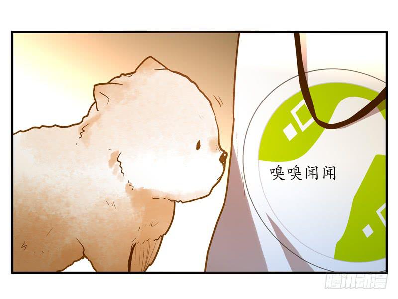 《宠爱我吧！兽医先生》第十三话 神秘合作方 第20页