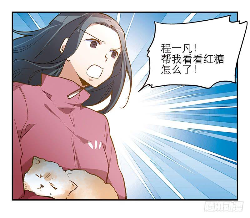 《宠爱我吧！兽医先生》第十三话 神秘合作方 第32页