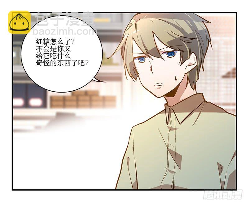 《宠爱我吧！兽医先生》第十三话 神秘合作方 第33页