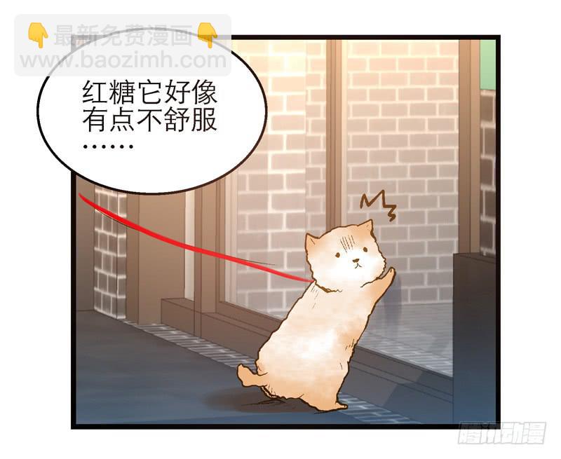 《宠爱我吧！兽医先生》第十二话 红糖想你了 第10页