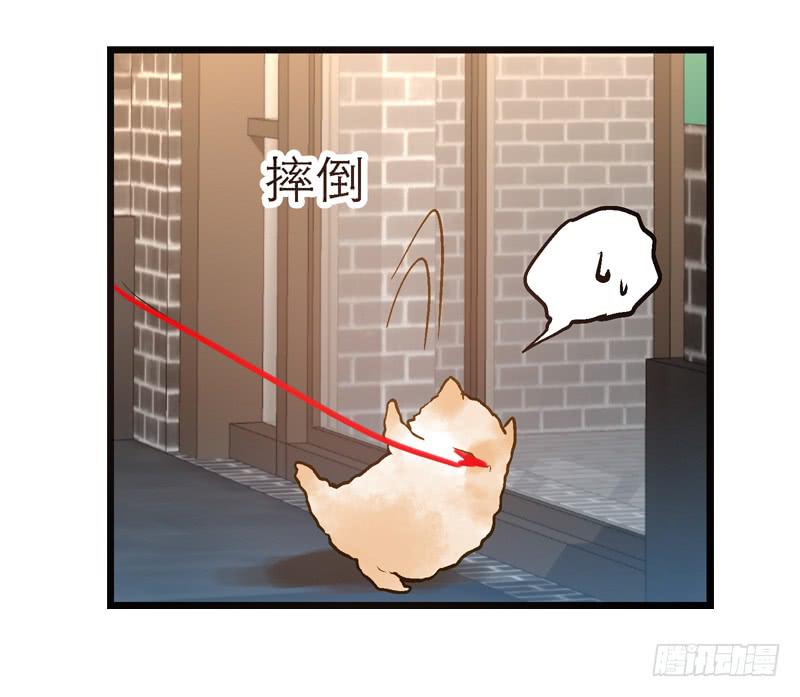 《宠爱我吧！兽医先生》第十二话 红糖想你了 第11页