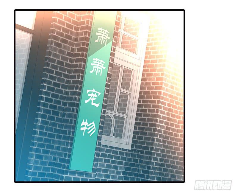 《宠爱我吧！兽医先生》第十二话 红糖想你了 第1页