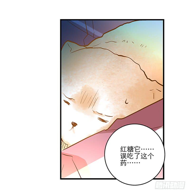 《宠爱我吧！兽医先生》第十四话 我煺出！ 第7页