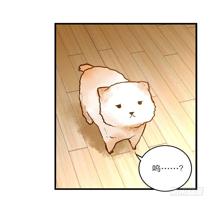 《宠爱我吧！兽医先生》第十七话 喝醉的女人不能惹 第27页