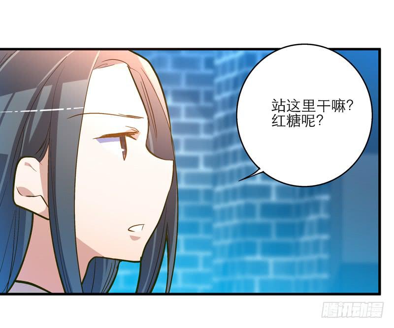 《宠爱我吧！兽医先生》第二十话 该撒狗粮了 第13页