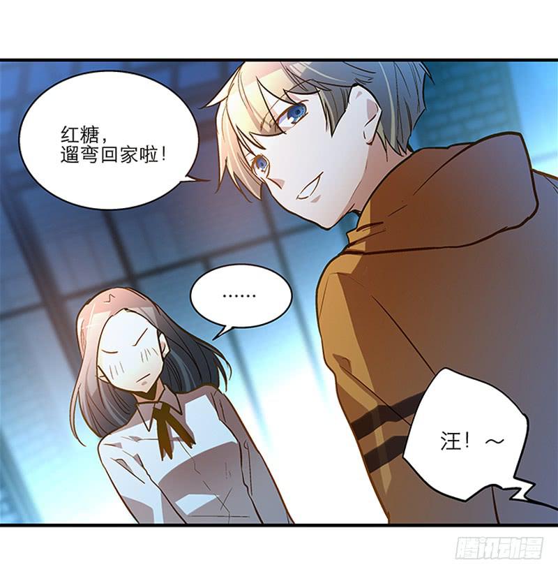《宠爱我吧！兽医先生》第二十话 该撒狗粮了 第17页